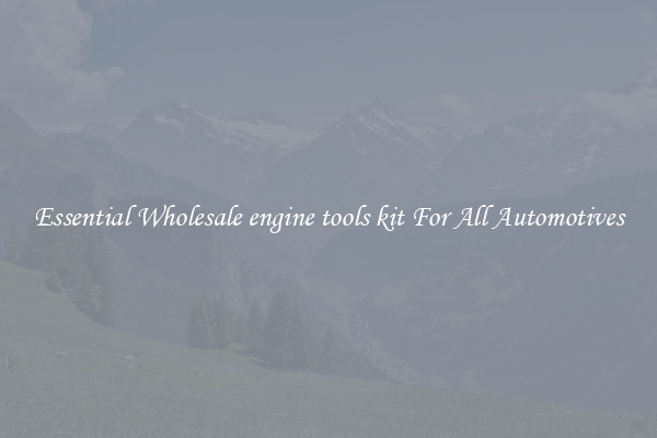 Essential Wholesale engine tools kit For All Automotives