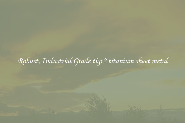 Robust, Industrial Grade tigr2 titanium sheet metal