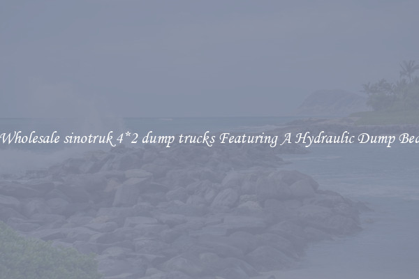 Wholesale sinotruk 4*2 dump trucks Featuring A Hydraulic Dump Bed