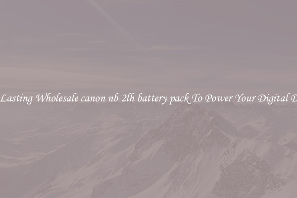 Long Lasting Wholesale canon nb 2lh battery pack To Power Your Digital Devices