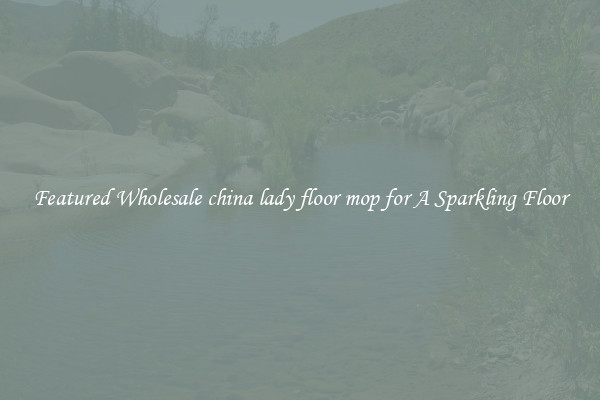 Featured Wholesale china lady floor mop for A Sparkling Floor
