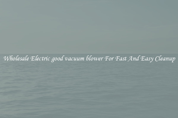 Wholesale Electric good vacuum blower For Fast And Easy Cleanup