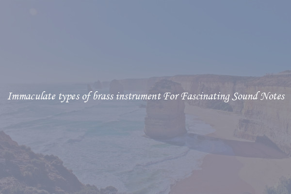 Immaculate types of brass instrument For Fascinating Sound Notes