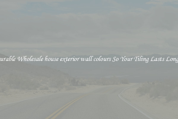 Durable Wholesale house exterior wall colours So Your Tiling Lasts Longer