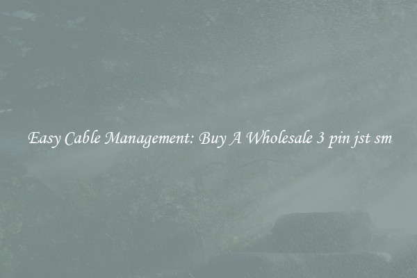 Easy Cable Management: Buy A Wholesale 3 pin jst sm