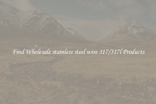 Find Wholesale stainless steel wire 317/317l Products