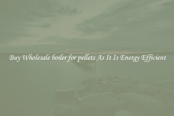 Buy Wholesale boiler for pellets As It Is Energy Efficient