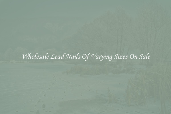 Wholesale Lead Nails Of Varying Sizes On Sale