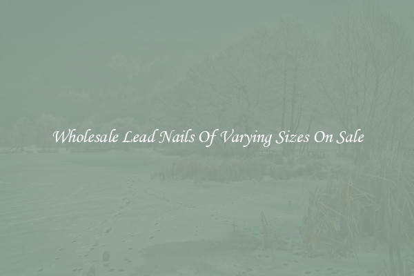 Wholesale Lead Nails Of Varying Sizes On Sale