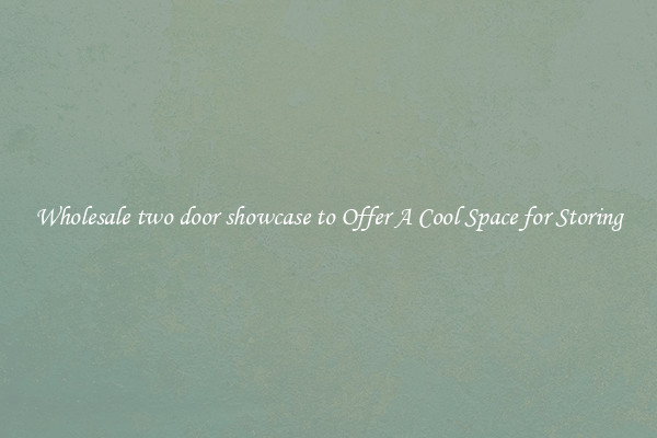 Wholesale two door showcase to Offer A Cool Space for Storing