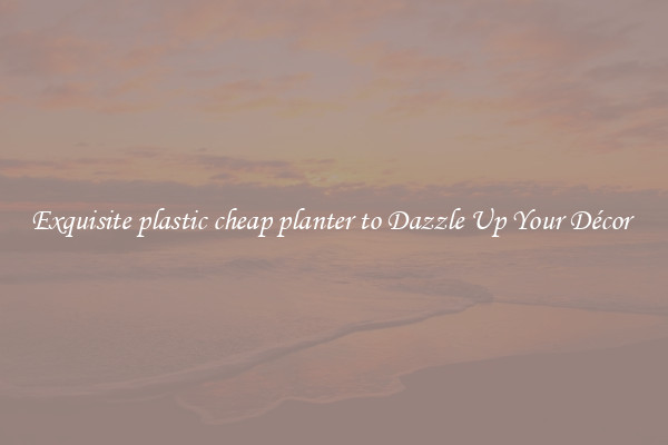 Exquisite plastic cheap planter to Dazzle Up Your Décor 