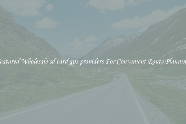 Featured Wholesale sd card gps providers For Convenient Route Planning 