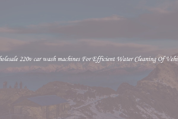 Wholesale 220v car wash machines For Efficient Water Cleaning Of Vehicles