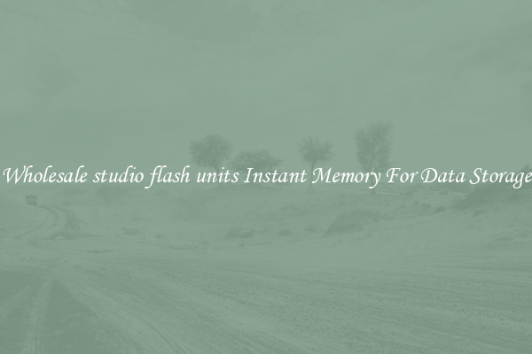Wholesale studio flash units Instant Memory For Data Storage
