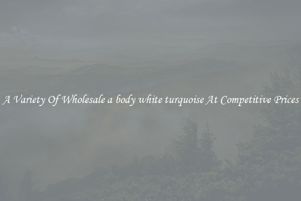 A Variety Of Wholesale a body white turquoise At Competitive Prices