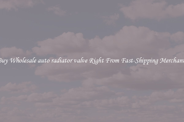 Buy Wholesale auto radiator valve Right From Fast-Shipping Merchants