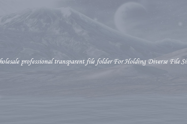 Wholesale professional transparent file folder For Holding Diverse File Sizes